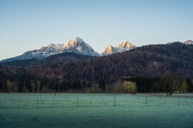 Morning Field view with Gehrenspitze and Kollenspitze peaks of Alps Tannheim Mountains on background - Schwangau, Bavaria, Germany