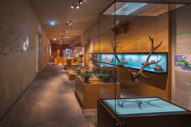 Bonn, Germany - Jan 29, 2020: Rheinisches Landesmuseum Bonn (LVR-LandesMuseum) Interior - Bonn, Germany