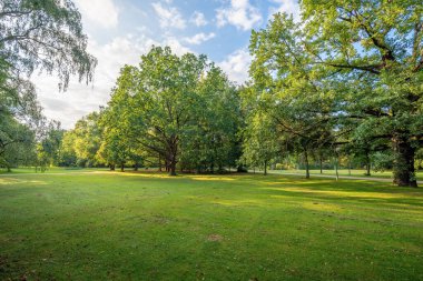Tiergarten Parkı - Berlin, Almanya
