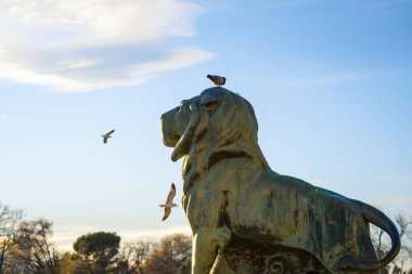 Madrid, İspanya - 10 Mart 2019: Madrid, İspanya 'daki Retiro Park' taki Alfonso XII Anıtı 'nın Aslan Heykeli