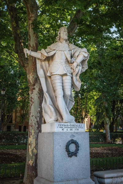 Madryt Hiszpania Czerwca 2019 Pomnik Fernana Gonzaleza Kastylii Placu Plaza — Zdjęcie stockowe