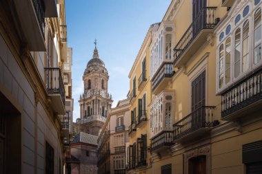 Malaga Katedrali - Malaga, Endülüs, İspanya