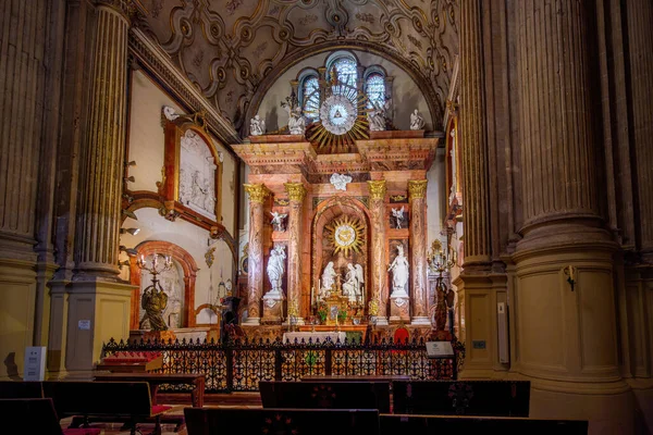Malaga Spanya Mayıs 2019 Malaga Katedrali Nde Enkarnasyon Şapeli Capilla — Stok fotoğraf