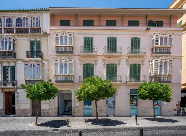 Malaga Spanyolország 2019 Május Fundacion Picasso Pablo Picasso Birthplace Building — Stock Fotó