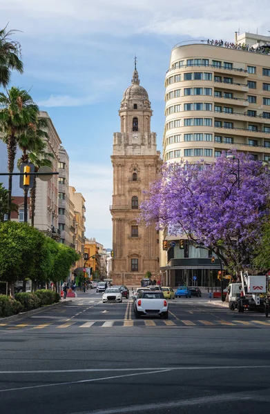 Vista Calle Con Catedral Málaga Málaga Andalucía España — Foto de Stock