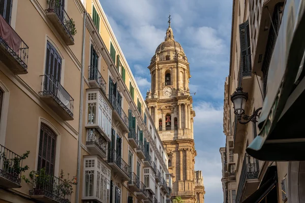Catedral Málaga Málaga Andalucía España — Foto de Stock