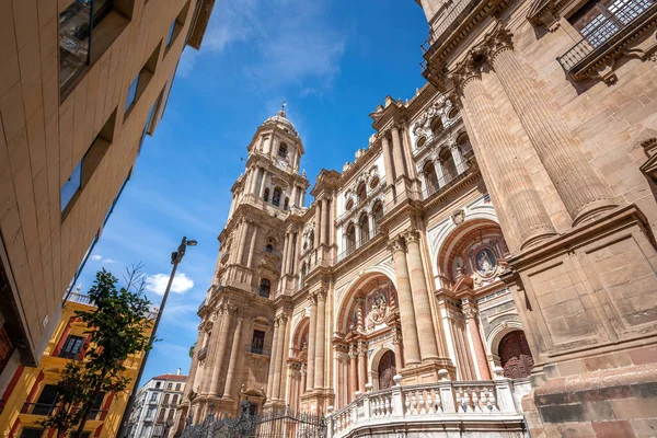 Cathédrale Malaga Malaga Andalousie Espagne — Photo