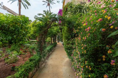 Seville, İspanya - 7 Nisan 2019: Las Duenas Sarayı 'nda Lemon Trees Garden (Jardin de los Limoneros) - Sevilla, Endülüs, İspanya