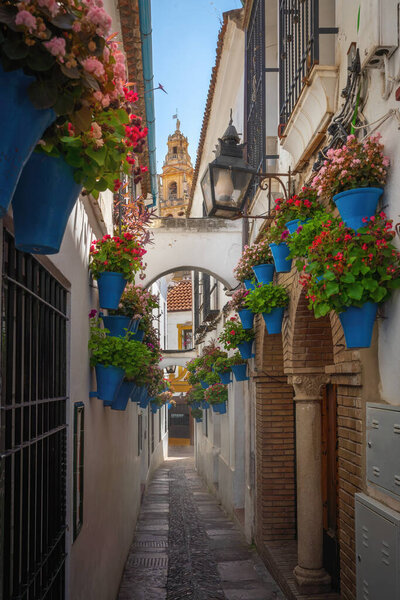 Улица Кальеха-де-лас-Флорес с цветочными горшками и Кафедральной башней - Кордова, Андалусия, Испания