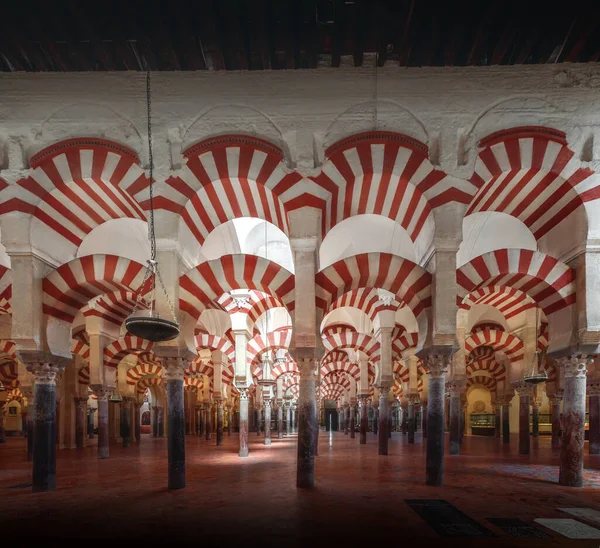 Cordoba Spain Jun 2019 Arches Columns Hyphstyle Prayer Hall Mosque — 스톡 사진
