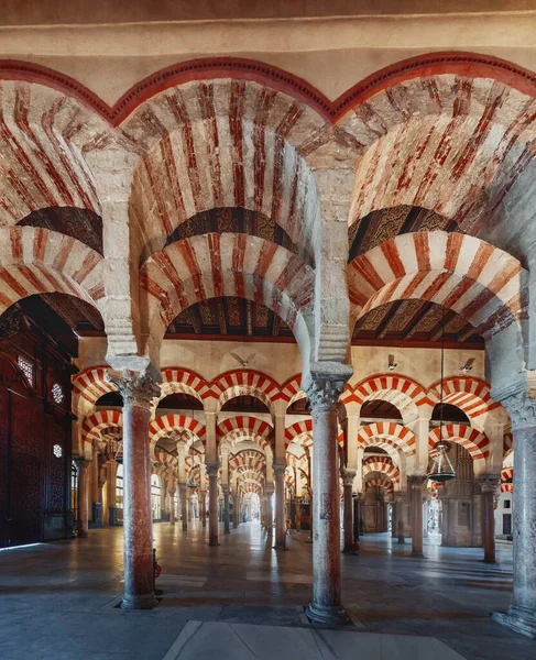 Cordoba Spain Jun 2019 Columns Hyphstyle Prayer Hall Mosque Cathedral — 스톡 사진