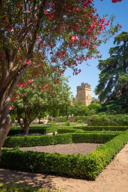 Cordoba, İspanya - 11 Haziran 2019: Alcazar de los Reyes Cristianos Gardens - Cordoba, Endülüs, İspanya