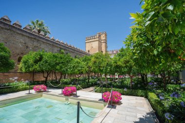 Cordoba, İspanya - 11 Haziran 2019: Alcazar de los Reyes Cristianos Mudejar Avlusu - Cordoba, Endülüs, İspanya