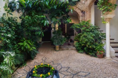 Cordoba, İspanya - 11 Haziran 2019: Casa Andalusi (Endülüs Hanedanı) Avlu ve Çeşmesi - Cordoba, Endülüs, İspanya