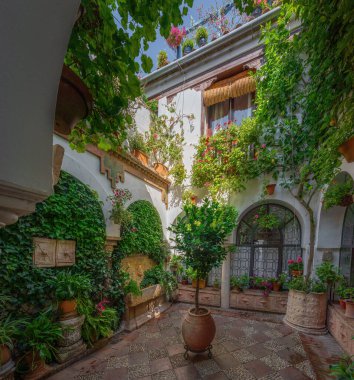 Cordoba, İspanya - 13 Haziran 2019: San Basilio 'daki Geleneksel Avlu - Cordoba, Endülüs, İspanya