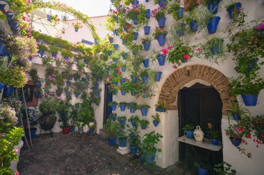 Cordoba, İspanya - 13 Haziran 2019: San Basilio 'daki Geleneksel Avlu - Cordoba, Endülüs, İspanya