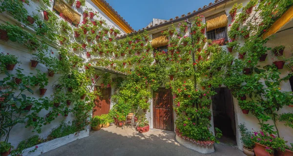 Cordoba Spanje Jun 2019 Traditionele Binnenplaats San Basilio Cordoba Andalusië — Stockfoto