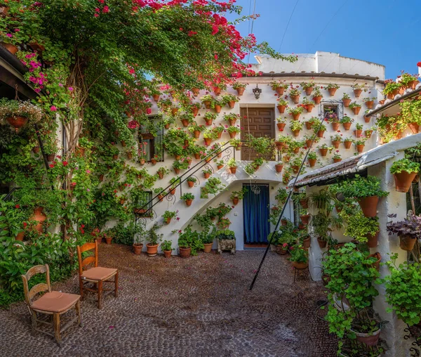 Cordoba, İspanya - 13 Haziran 2019: San Basilio 'daki Geleneksel Avlu - Cordoba, Endülüs, İspanya