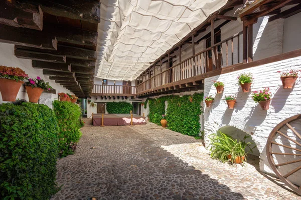 Cordoba Španělsko Června 2019 Posada Del Potro Courtyard Cordoba Andalusie — Stock fotografie