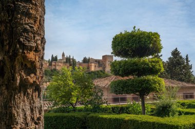 Arka planda Alhambra olan Casa del Chapiz Bahçeleri - Granada, Endülüs, İspanya