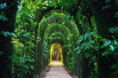 Carmen de los Martire Bahçelerindeki Yeşil Tünel - Granada, Endülüs, İspanya