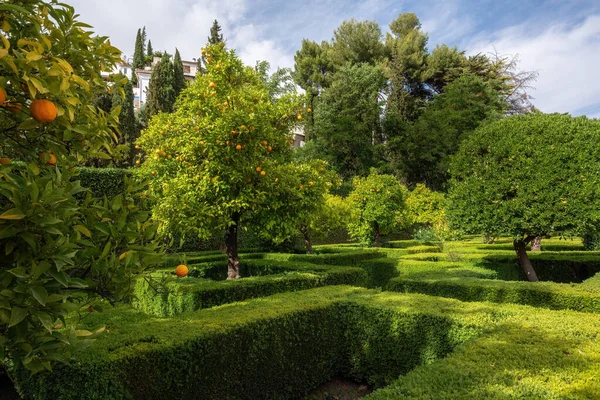 Casa Del Chapiz Houseの庭園 グラナダ アンダルシア スペイン — ストック写真