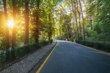 Gün batımında Alhambra Ormanı Yolu Granada, Endülüs, İspanya