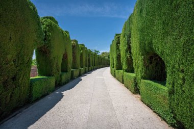 Granada, İspanya - 5 Haziran 2019: Alhambra 'daki San Francisco Bahçeleri Yeşil Koridoru - Granada, Endülüs, İspanya