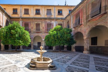 Granada, İspanya - 6 Haziran 2019: San Juan de Dios Hastanesi Avlusu - Granada, Endülüs, İspanya