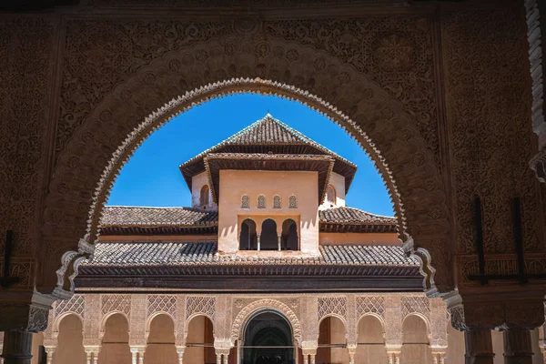 Granada Spanje Jun 2019 Detail Van Het Hof Van Leeuwen — Stockfoto