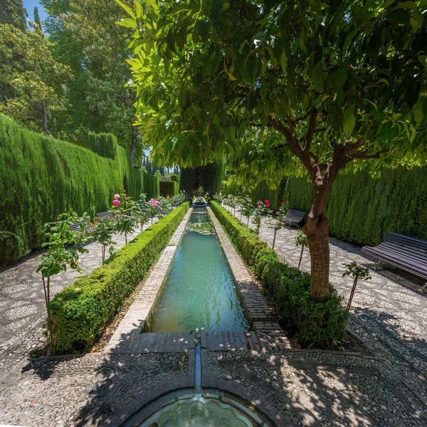 Granada España Junio 2019 Nuevos Jardines Generalife Jardines Alhambra Granada — Foto de Stock
