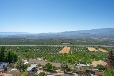 Guadalquivir Vadisi, Olive Groves ve Sierra Magina Dağları - Baeza, Jaen, İspanya