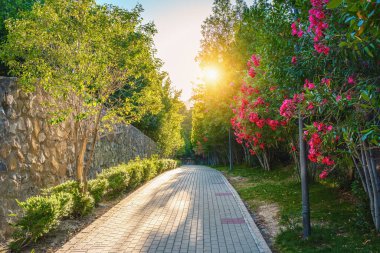 Seminer Parkı (Parque del Seminario) - Jaen, İspanya