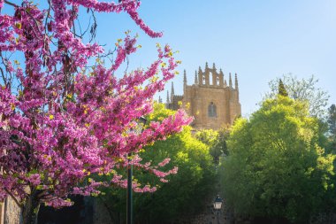 San Juan de los Reyes Manastırı - Toledo, İspanya