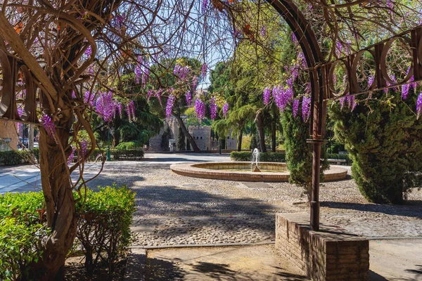 Parque Vega Mit Rosa Blumen Toledo Spanien — Stockfoto