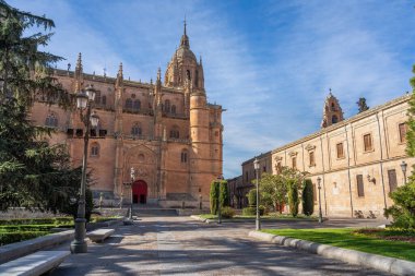 Salamanca Yeni Katedrali - Salamanca, İspanya