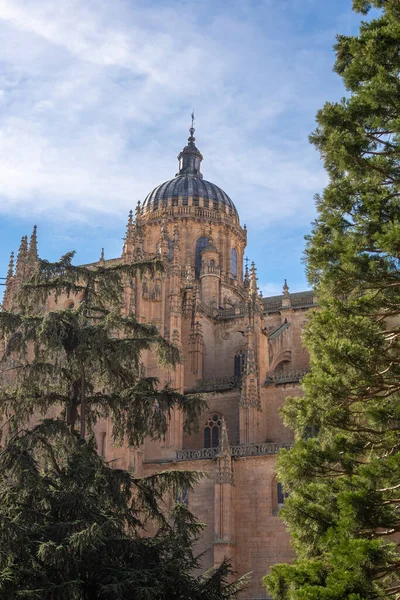 Salamanca Nueva Torre Linterna Catedral Salamanca España — Foto de Stock