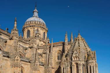 Geçiş kulesi (Torre del Galo) ve Salamanca Katedrali Fener Kulesi - Salamanca, İspanya