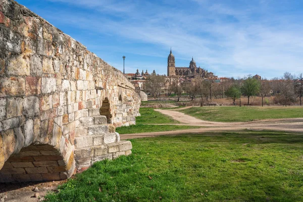 Puente Romano Catedral Salamanca Salamanca España — Foto de Stock