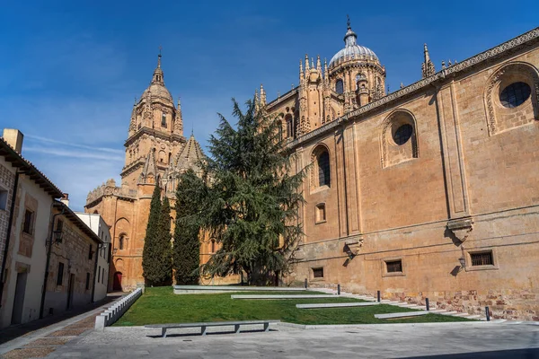 Salamanca Eski ve Yeni Katedral - Salamanca, İspanya