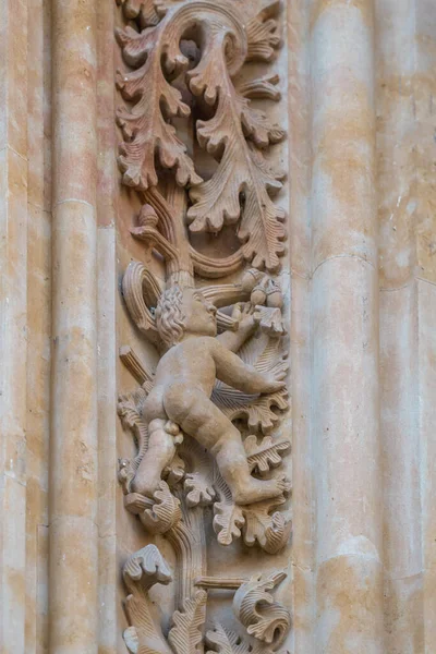 Butt Naked Figure Carving Salamanca Cathedral Facade Salamanca Spain — Zdjęcie stockowe