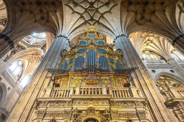 Salamanca Espanha Mar 2019 Órgão Tubulação Renascentista Nova Catedral Salamanca — Fotografia de Stock
