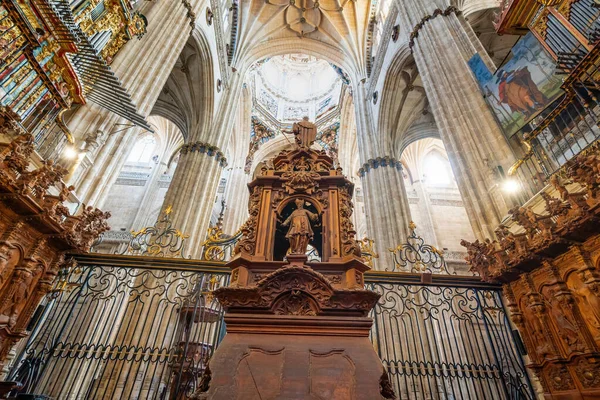 Salamanca Spanya Mart 2019 Salamanca Çişleri Yeni Katedrali Koro Öğreticisi — Stok fotoğraf