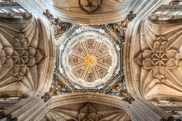 Salamanca Spanien Mar 2019 Salamancas Nya Katedral Salamanca Spanien — Stockfoto