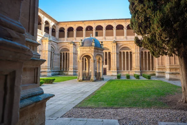 Salamanca Spain Mar 2019 Cloister Kings Courtyard San Esteban Convent — 스톡 사진