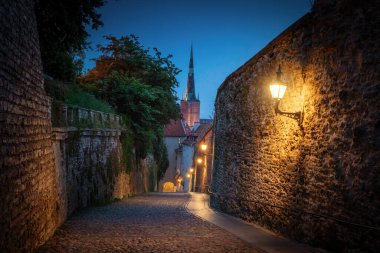 Uzun bacaklı kapı kulesi ve geceleri St. Olaf kilisesi - Tallinn, Estonya