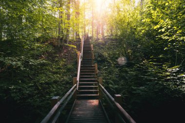 Gauja Ulusal Parkı 'ndaki tahta merdivenler ve patika Sigulda, Letonya