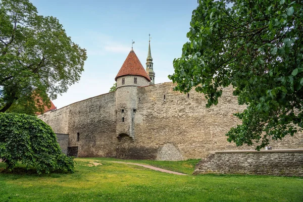 Stable Tower Tallinn Estonia — Foto Stock