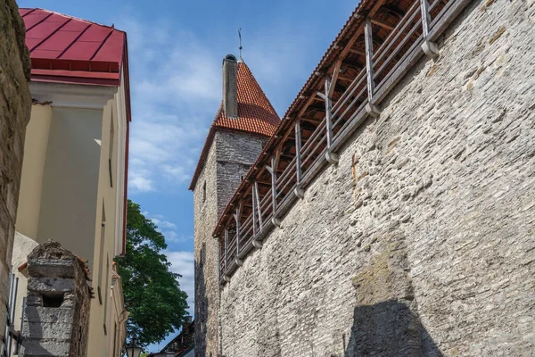 Helleman Tower Tallinn City Walls Tallinn Estonia — Foto Stock