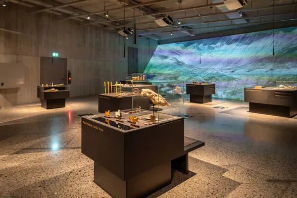 Zürich Sveitsi Nov 2019 Arkeologian Näyttely Sveitsin Kansallismuseossa Zürich Sveitsi — kuvapankkivalokuva